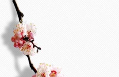 一年中什么日子搬家最吉利 双月份搬家运势最佳