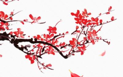 2019年12月26号出生的女孩命运好不好,五行属什么