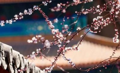 床头摆什么容易走桃花运 狐狸挂饰可招桃花