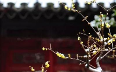 2021年6月27日是什么日子,是黄道吉日吗