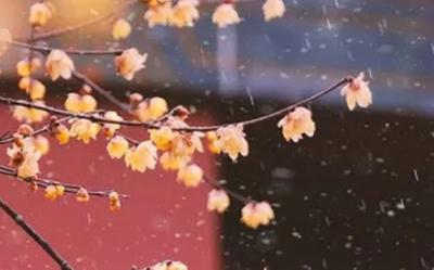 今日是什么日:2021年11月24号黄历宜忌与吉凶