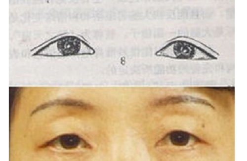 倒三角眼是什么样的 倒三角眼的女人面相解析