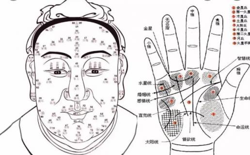 女人生命线很短怎么办 女人生命线短命就短吗