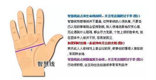 手相图解大全女右手 手相图解大全女右手算命