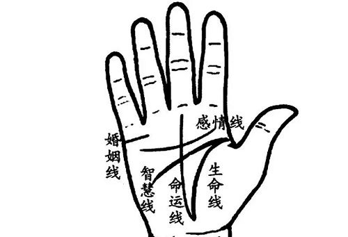 怎么看手相 怎么看手相的事业线和财运线