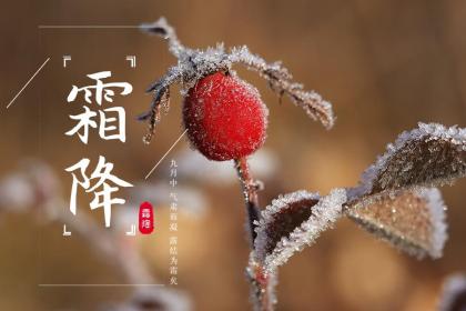 属猴宝宝在霜降出生命运好吗？几点出生最好