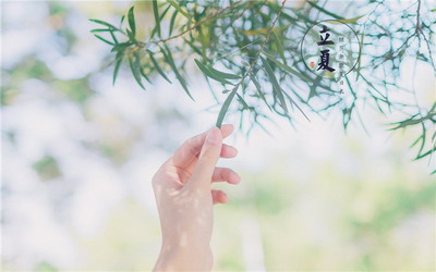 立夏养生应该注意些什么?代表性的植物是什么?