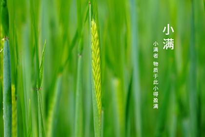 小满节气有什么含义?为什么南北方含义不一样呢?