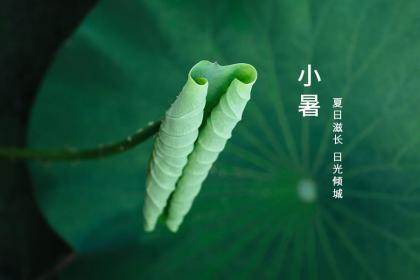 小暑由来简单介绍,小暑英文怎么说