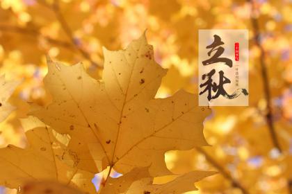 在立秋节气当日出生的属猪人命理解析