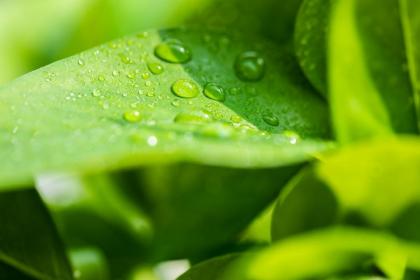 白露搬家好不好?2022年白露下雨还能搬家吗