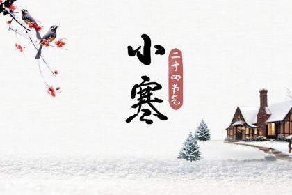 小寒节气下雪意味着什么?小寒冷还是大寒冷?
