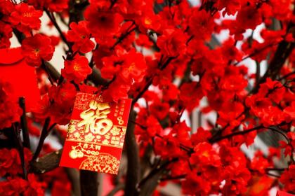 2023过年前一天出生的属什么星座