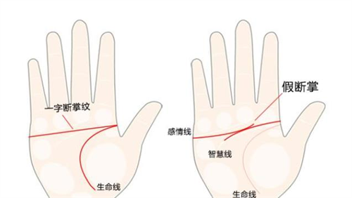 男人断掌手相有什么说法 男人断掌手相好不好