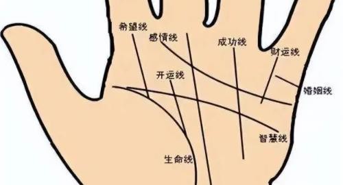 手相看左手还是右手 女生手相看左手还是右手