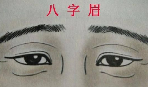 八字眉毛的男人性格 八字眉毛的男人财运