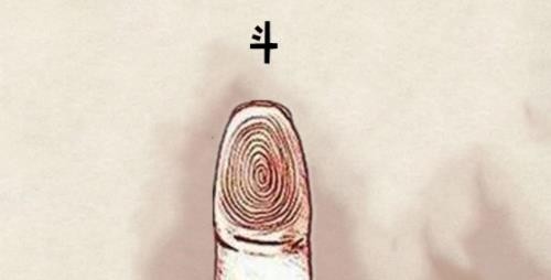 十个斗的男人命运如何 手指10个斗是什么命