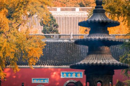 生肖属猴出生在大寒节气的人是不是命很不好？