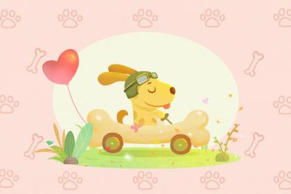 属狗和属猪的护生佛是什么 属相相合吗