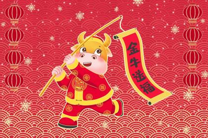 十二月牛男的命运怎么样 属牛不能用红色吗