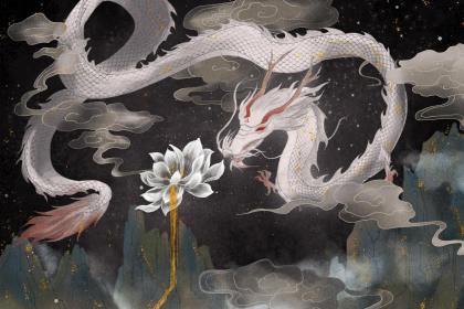 有没有属狗和属龙结婚的 在一起注意什么