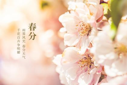 江西春分吃什么 春分上坟有什么讲究