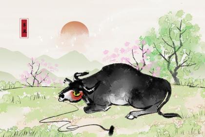 属牛的五月出生好不好 属牛五月是犯月吗