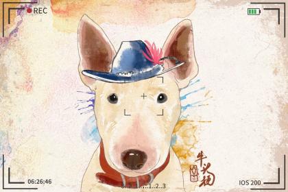 为什么都说属狗的命好 什么时候出生的属狗最好