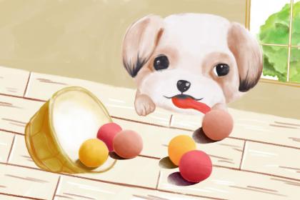 属龙宜养狗吗 属龙的人忌讳养什么