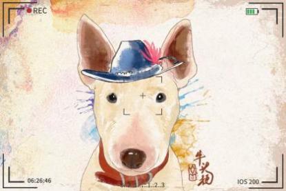 为什么属狗人当领袖的多 属狗的富豪是几月的