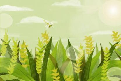 92年5月22日是什么命 农历四月二十出生命运