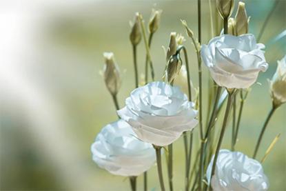 91年4月6日是什么命 农历二月二十二出生命运