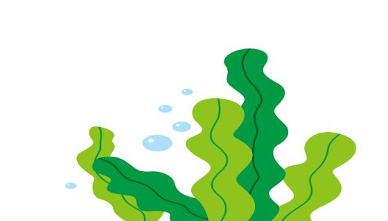 梦见海草是什么意思 梦见海草是什么预兆