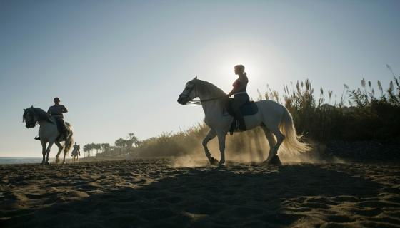 梦见骑马是什么意思 梦见骑马是什么预兆