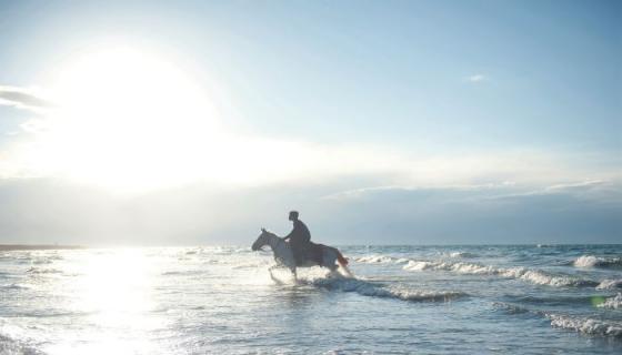 梦见骑马过海是什么意思 梦见骑马过海有什么预兆