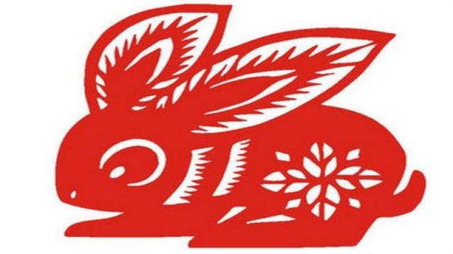 老鼠和兔子属相合不合