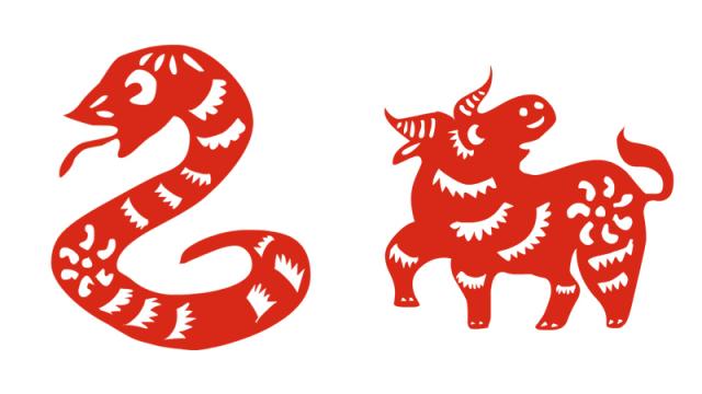 属蛇跟属牛合不合
