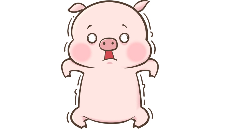 94女狗和95男猪合不合