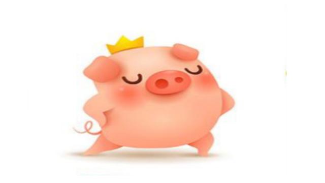 属猪今年的运势