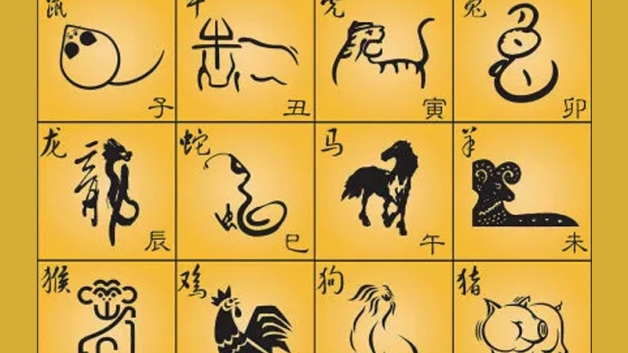 属牛适合的楼层
