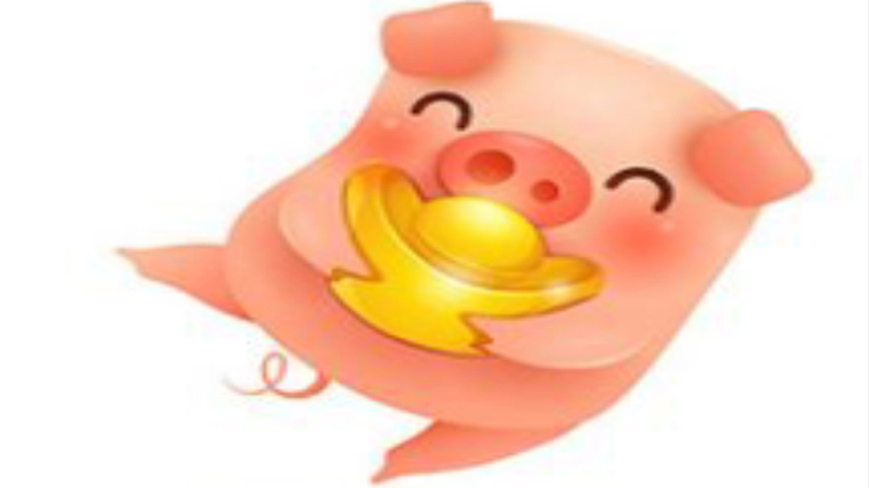 今年属猪的是什么命