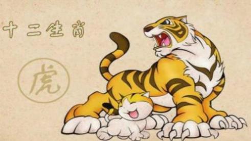 属虎与属虎的婚配如何