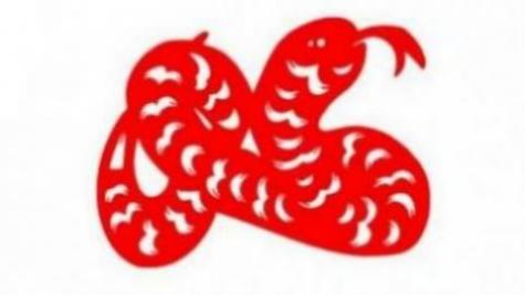 属蛇的和属鸡的婚姻合不合
