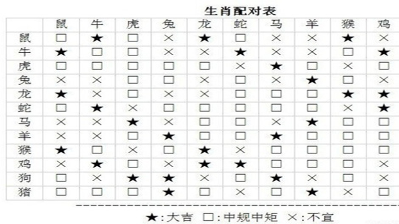 龙和马的属相合不合