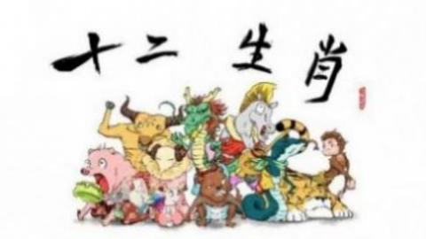 12生肖相冲化解法是什么