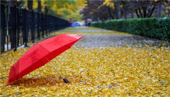 梦到下雨天和别人共撑一把伞