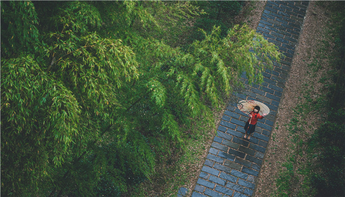 梦见下大雨是什么预兆