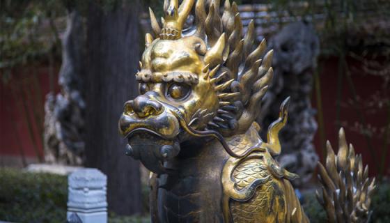 梦见麒麟在天上飞是什么意思