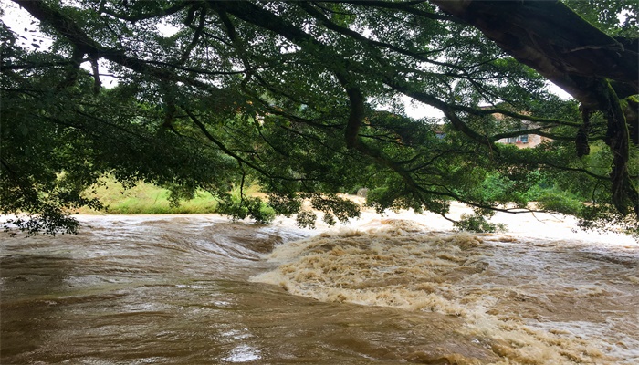 梦见特大洪水是什么意思