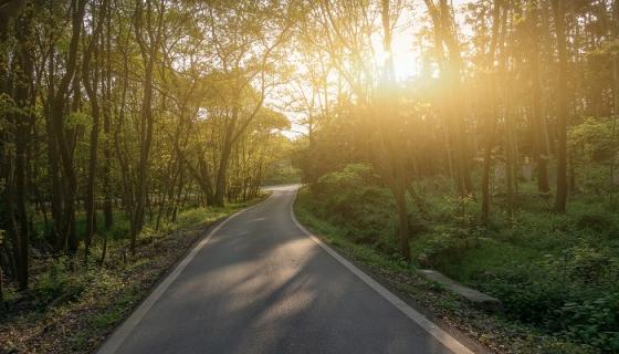 梦见迷路了后有人又给你指路了